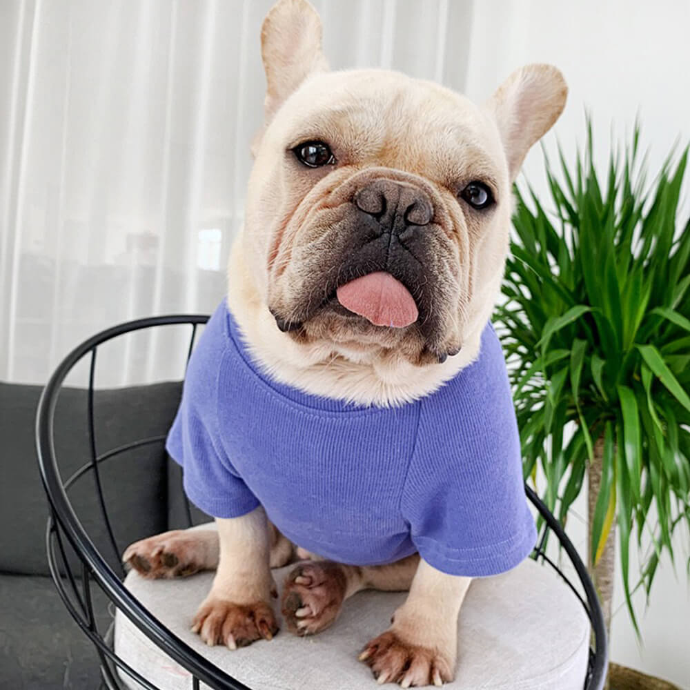 Elegante sudadera bordada de manga larga para ropa a juego para mascotas y dueños