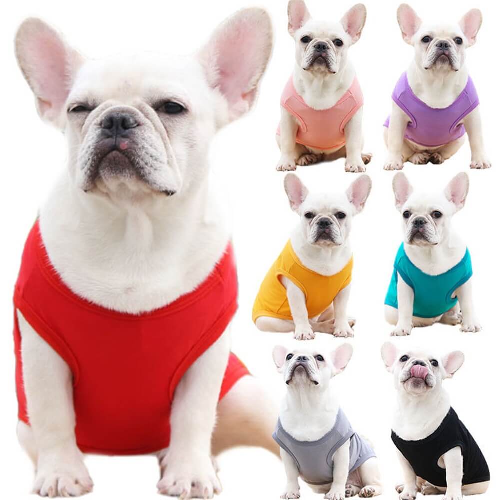 Chaleco básico de algodón de color sólido Ropa para mascotas