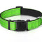 Verstellbares, reflektierendes Sicherheits-Hundehalsband aus Nylon