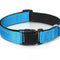 Verstellbares, reflektierendes Sicherheits-Hundehalsband aus Nylon