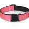 Verstellbares, reflektierendes Sicherheits-Hundehalsband aus Nylon
