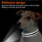 Verstellbares, reflektierendes Sicherheits-Hundehalsband aus Nylon