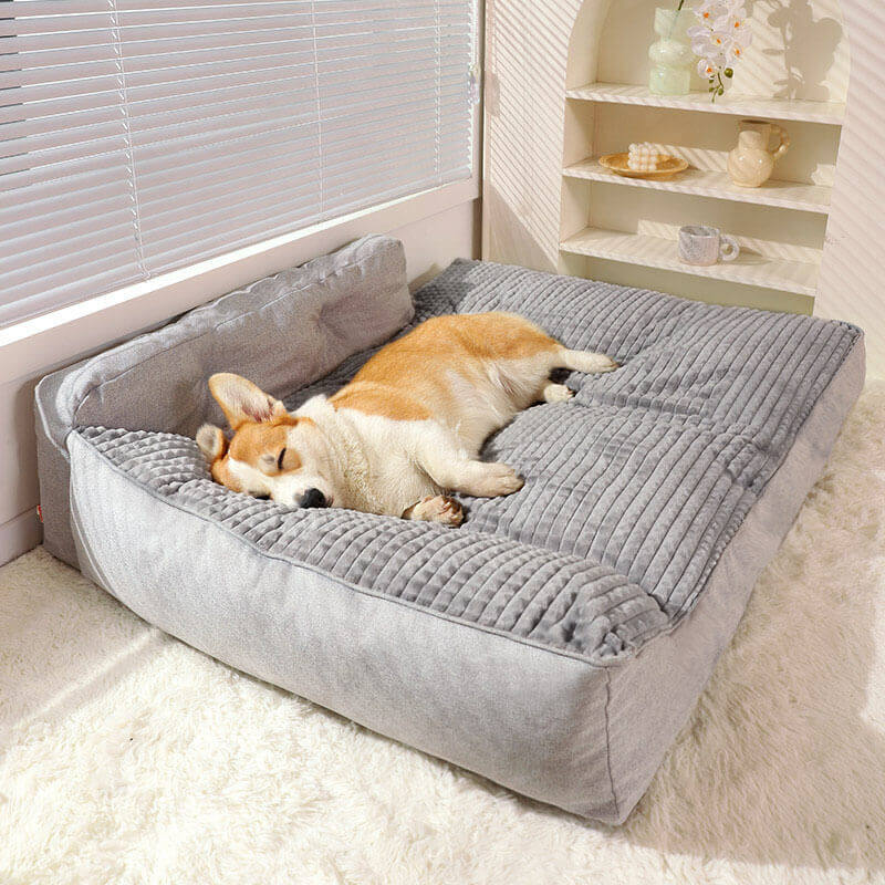 Dog bed clearance cushions