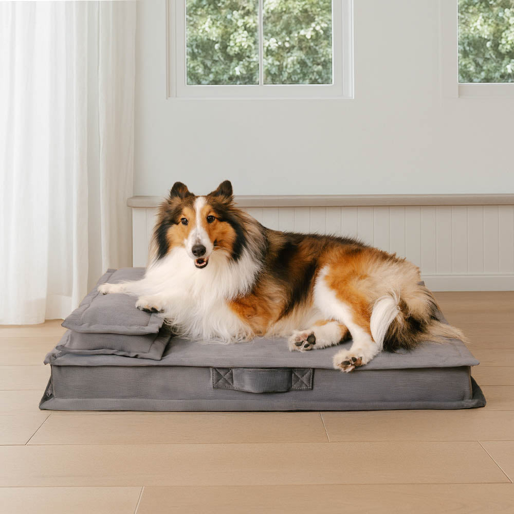 Anti-Angst-Tiefschlaf-Hundebett mit Schwammunterstützung