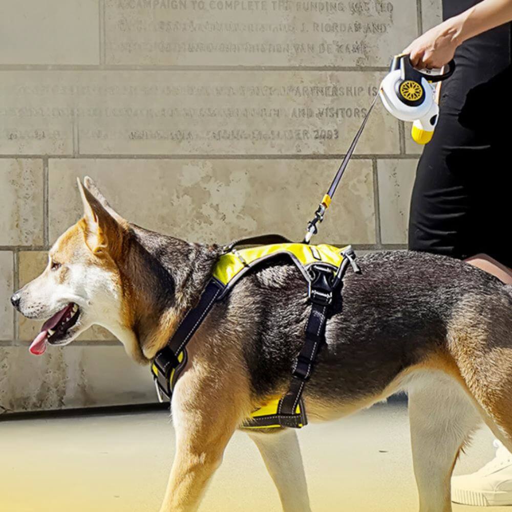 Laisse rétractable automatique antidéflagrante pour chiens de taille moyenne à grande