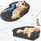 Cama de perros de perro grande y lujoso cama humana plegable