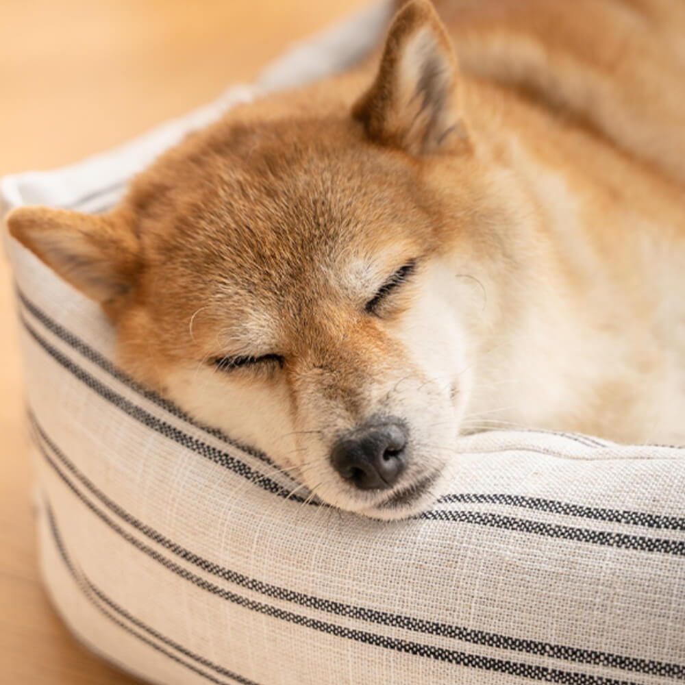 Cama para perros transpirable para todas las estaciones con rayas clásicas