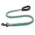 Colorful High Elasticity Traction Rope Large Dog Leash And Collar