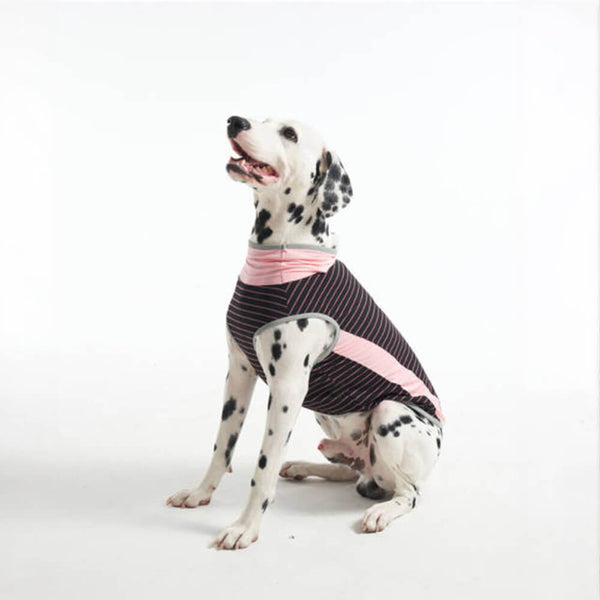 Seda de hielo refrescante a rayas <tc>Color</tc>Chaleco refrescante transpirable para perros