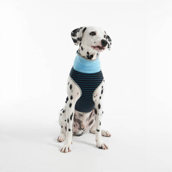 Seda de hielo refrescante a rayas <tc>Color</tc>Chaleco refrescante transpirable para perros