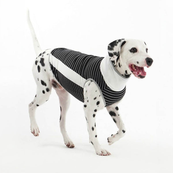 Seda de hielo refrescante a rayas <tc>Color</tc>Chaleco refrescante transpirable para perros