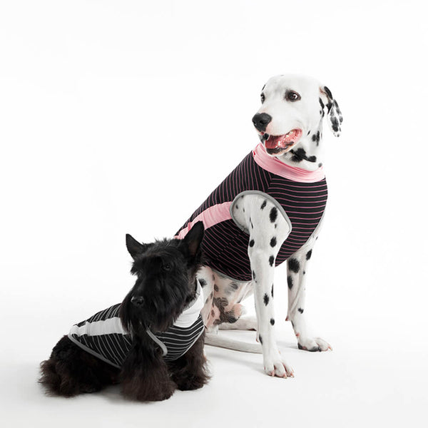 Seda de hielo refrescante a rayas <tc>Color</tc>Chaleco refrescante transpirable para perros