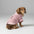 Cozy Sweater de perros de punto con cuello a cuadros: disponible en Pink & Blue