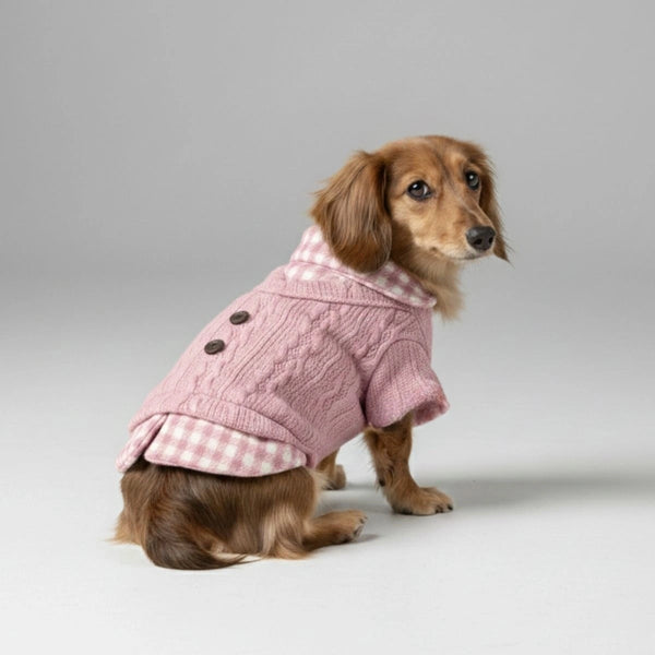 Cozy Sweater de perros de punto con cuello a cuadros: disponible en Pink & Blue