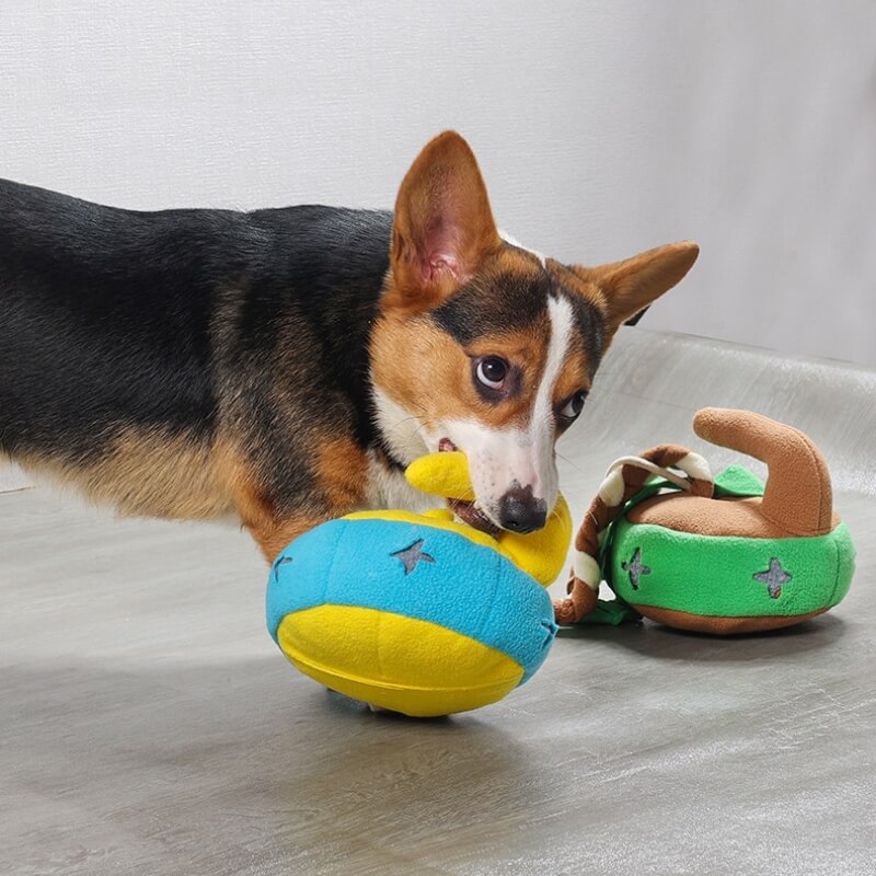 Puzzle à friser pour chien, jouet interactif, distributeur de friandises