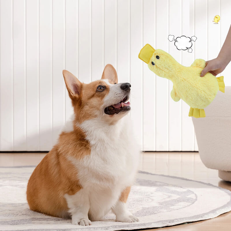 Interactive Cute Dog Chew Toy Set - Playful Fun