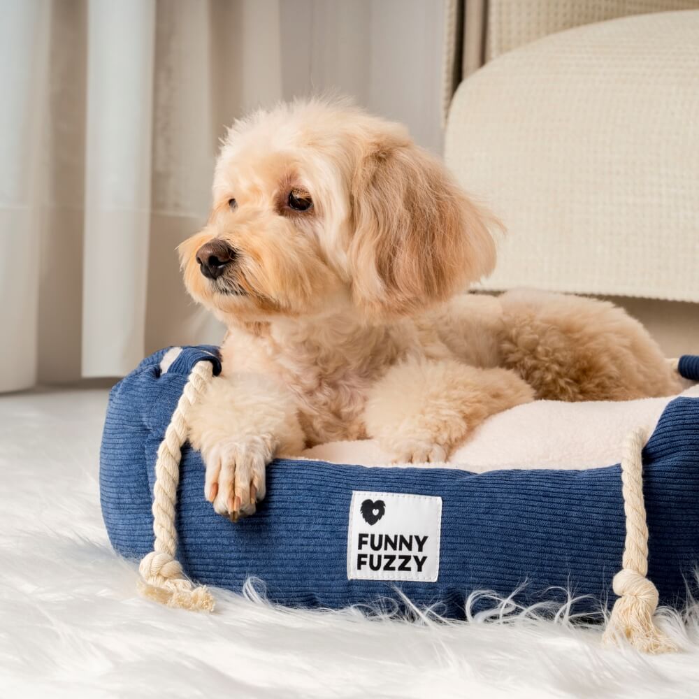 Cama para mascotas con cuerda para tirar, ajustable, resistente a mordeduras, para perros y gatos