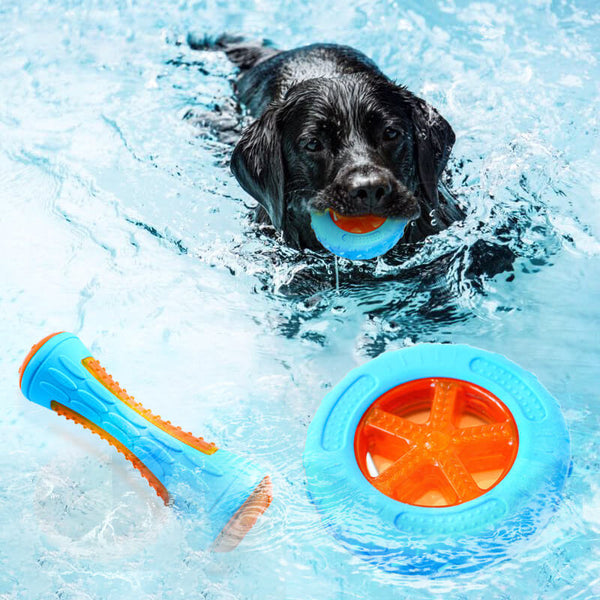 Juguete para perros interactivo juguete al aire libre juguete de agua flotante