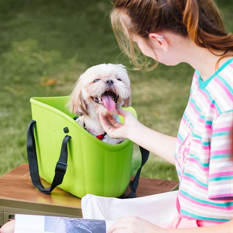 Sac de transport pour animaux de compagnie extérieur léger et imperméable EVA de grande capacité