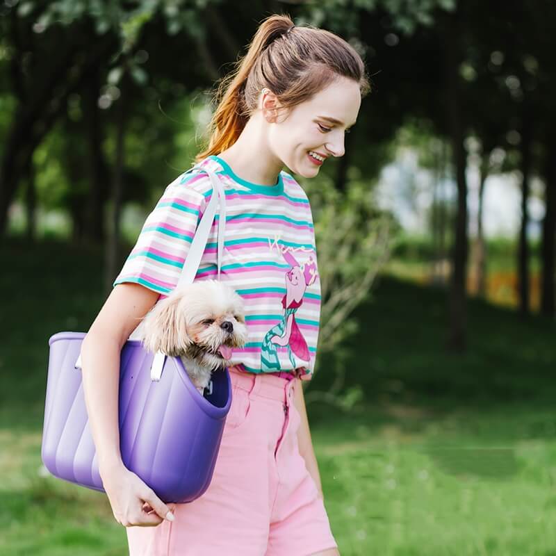 Sac de transport pour animaux de compagnie extérieur léger et imperméable EVA de grande capacité