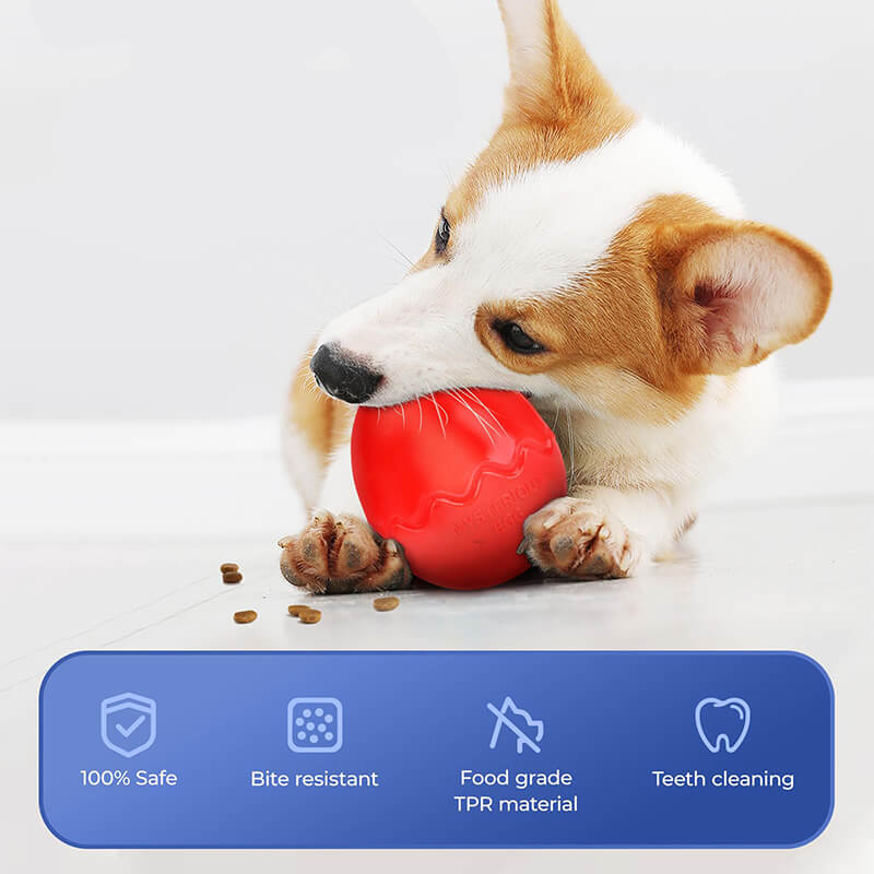 Eiförmiges Slow Feeder Kauspielzeug für Hunde, interaktives Hundespielzeug