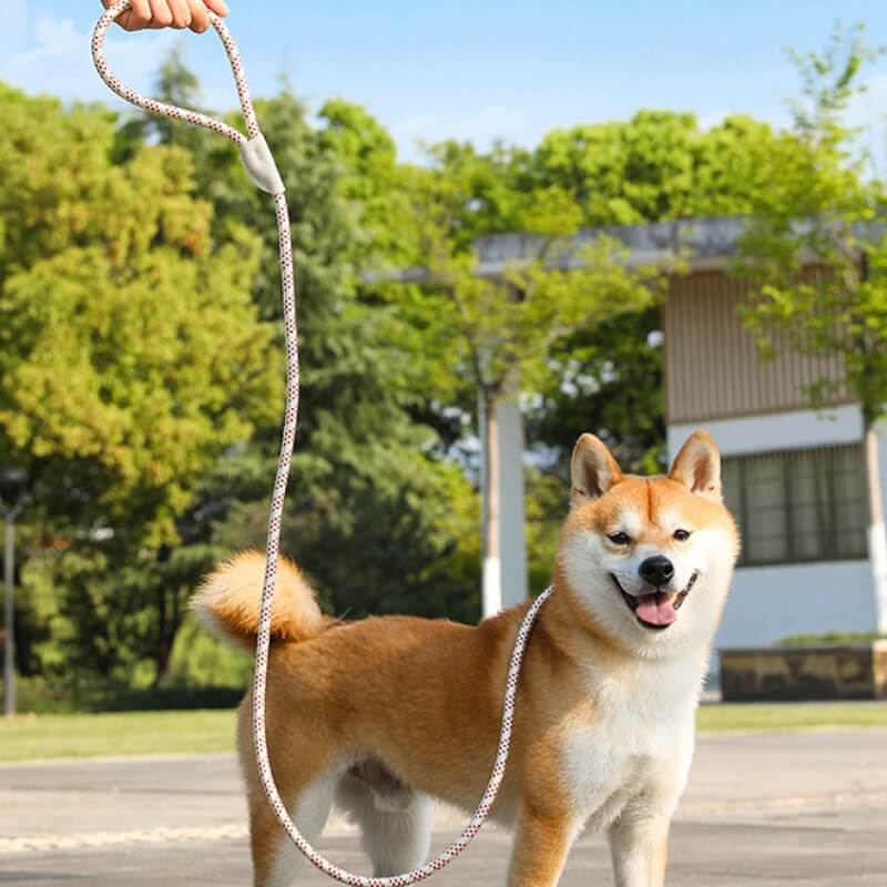 Explosionsgeschützte geflochtene Hundeleine aus Nylon, die nicht zieht