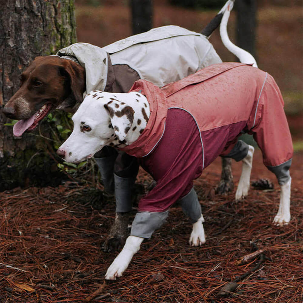 Large Adjustable Reflective Outdoor Dog and Human Matching Raincoat