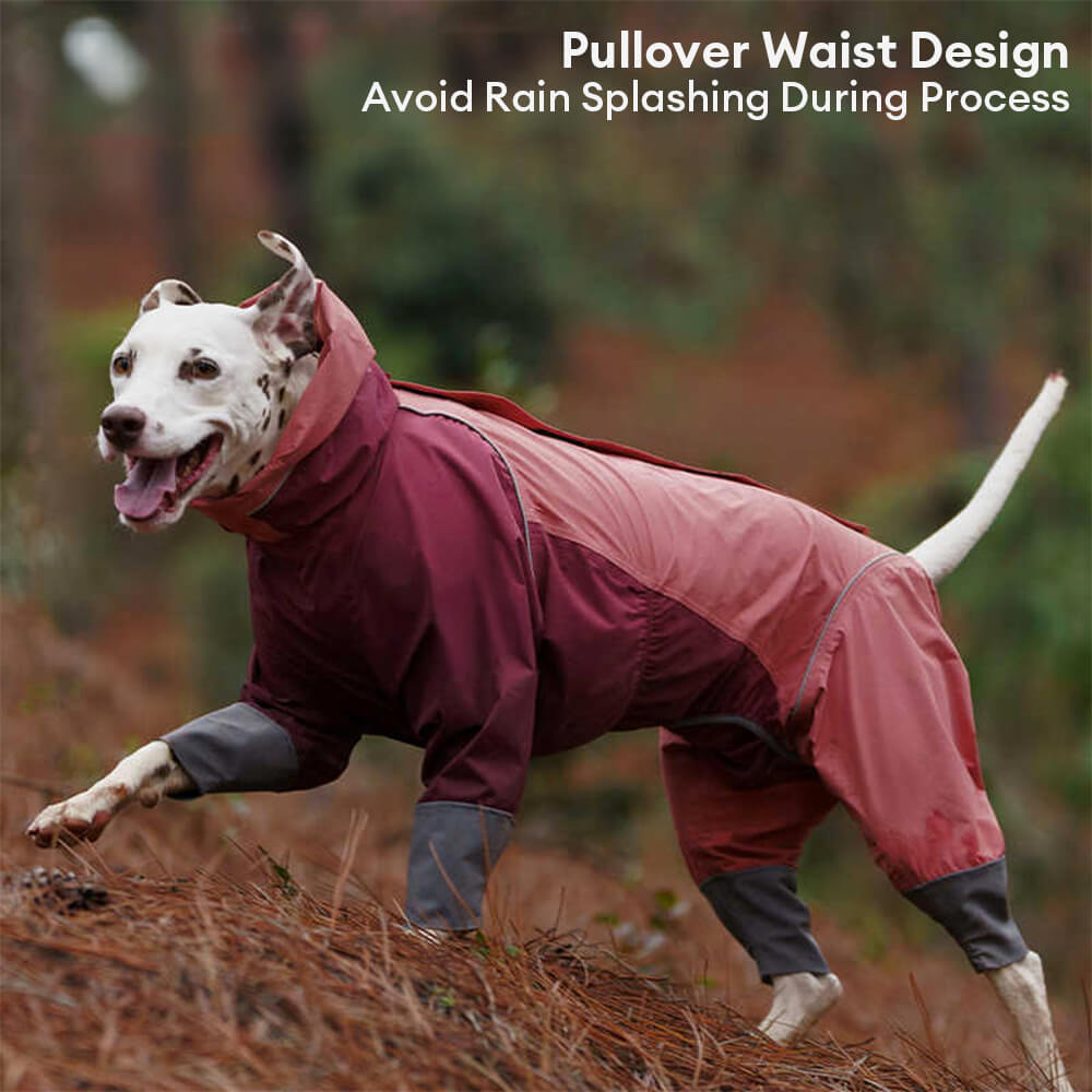 Large Adjustable Reflective Outdoor Dog and Human Matching Raincoat