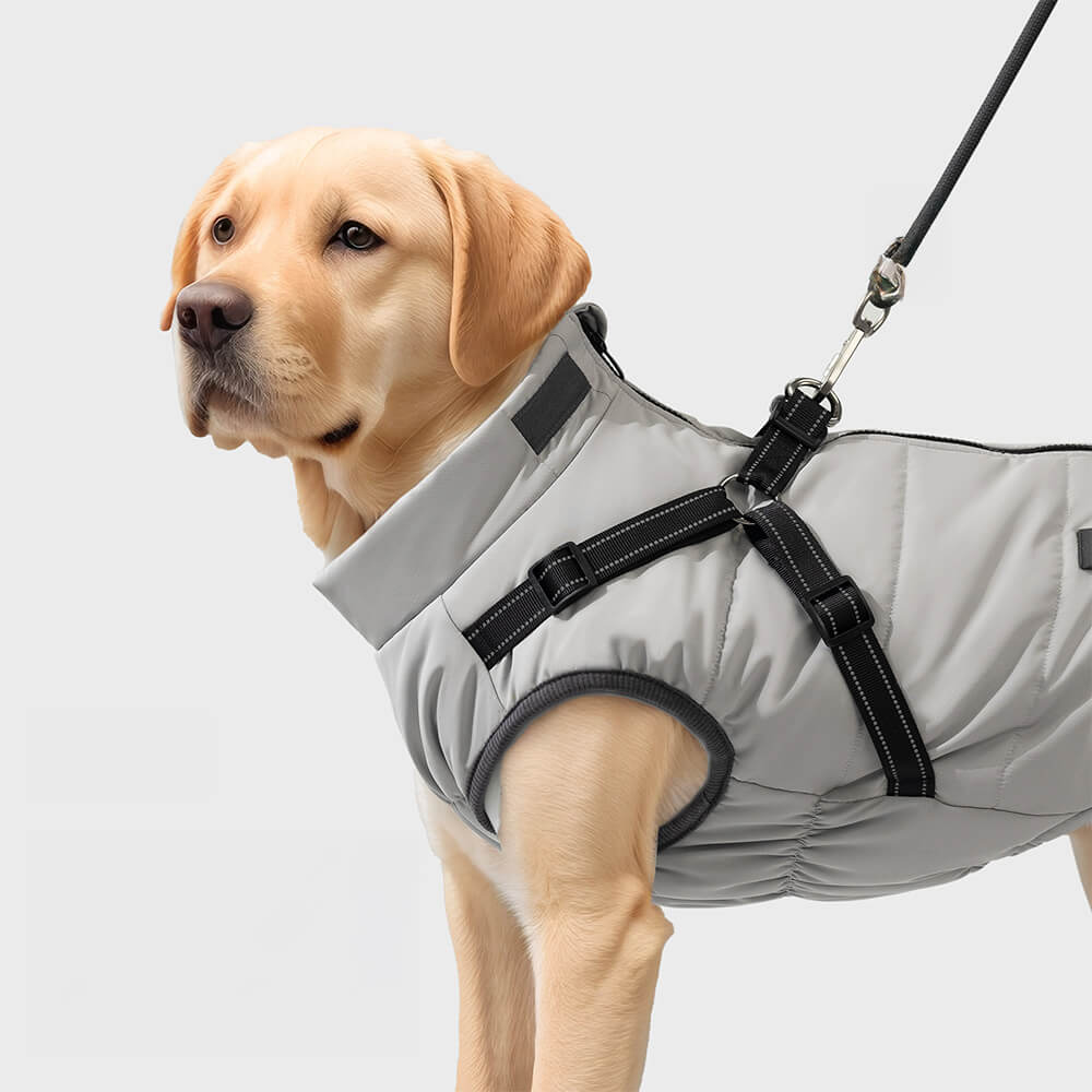 Adjustable Waterproof Warm Outdoor Dog Harness Jacket