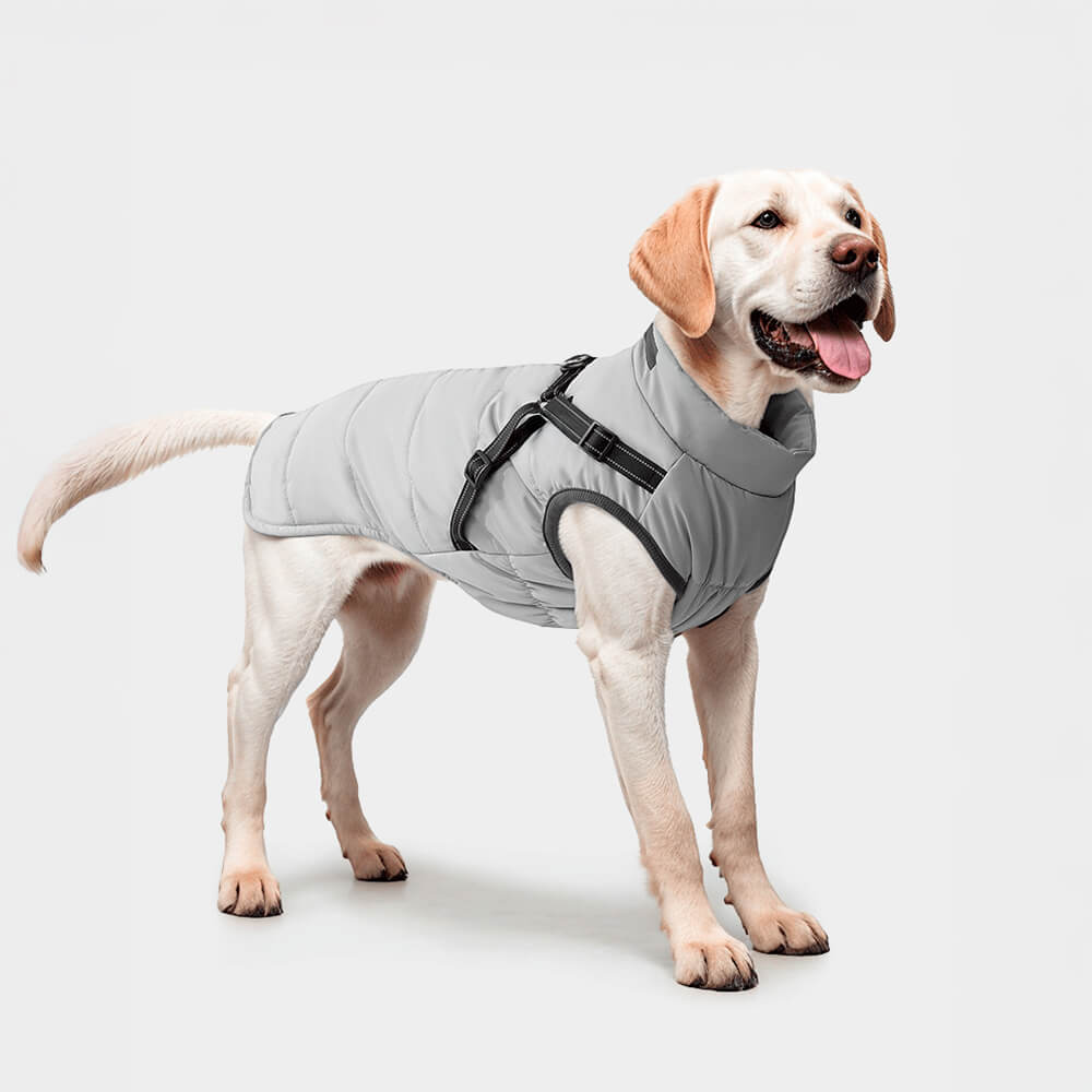 Veste de harnais pour chien extérieure chaude et imperméable réglable