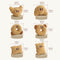 Juego de juguetes de gato juguetón interactivo de trajes horneados