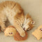 Juego de juguetes de gato juguetón interactivo de trajes horneados