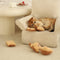 Juego de juguetes de gato juguetón interactivo de trajes horneados