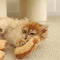 Juego de juguetes de gato juguetón interactivo de trajes horneados