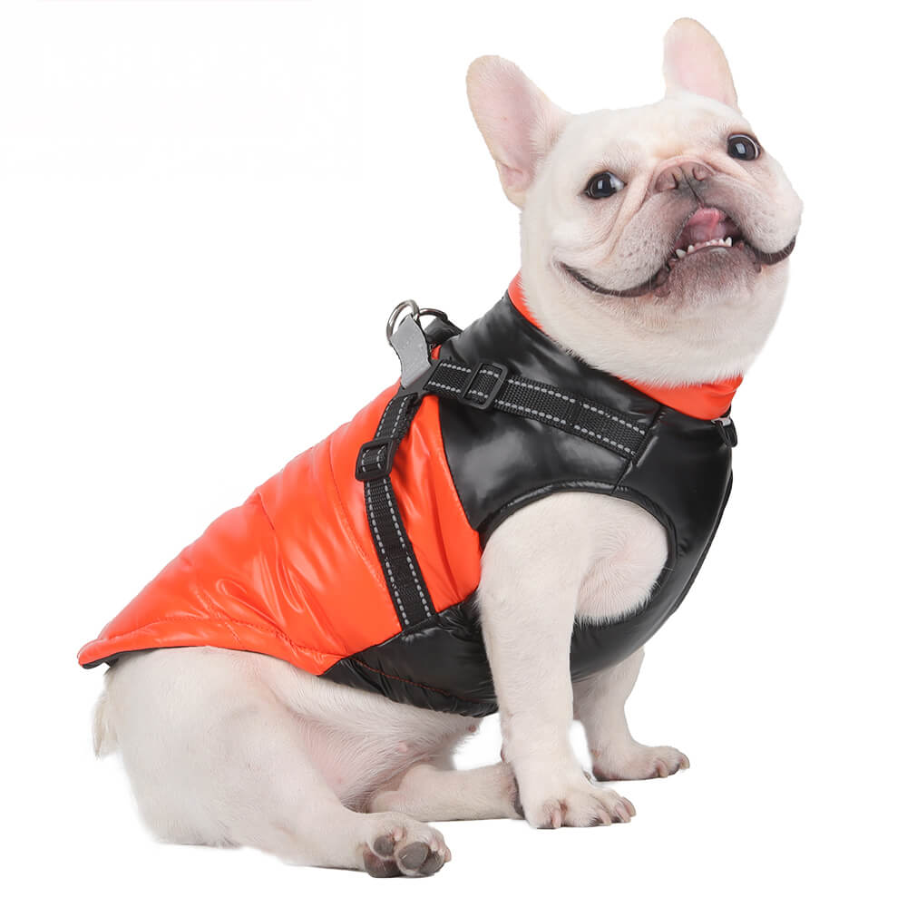 Veste chaude réfléchissante et imperméable pour chien, coupe réglable et sécurité, chic