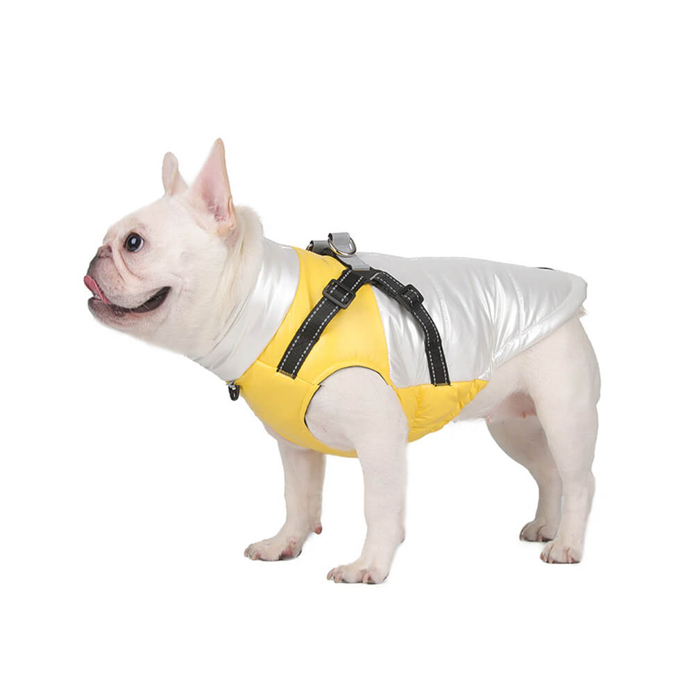 Veste chaude réfléchissante et imperméable pour chien, coupe réglable et sécurité, chic