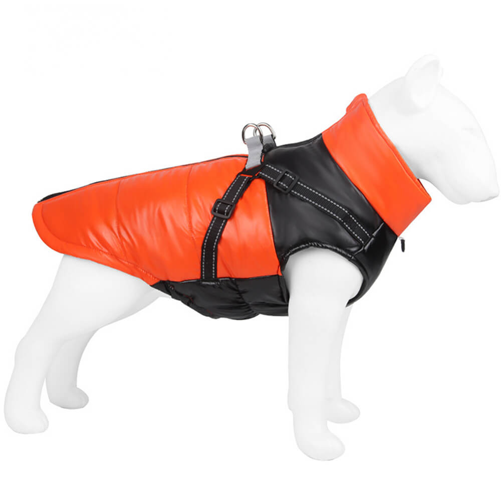 Veste chaude réfléchissante et imperméable pour chien, coupe réglable et sécurité, chic