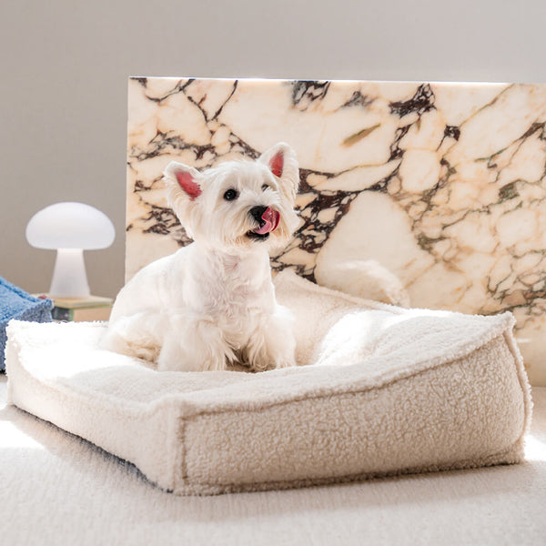 Cama de tela de peluche de soporte curvo cama impermeable y cama para perros y gatos