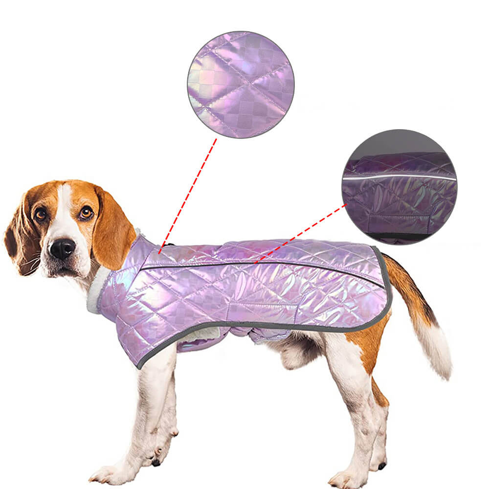 Veste chaude réfléchissante imperméable colorée éblouissante pour chien