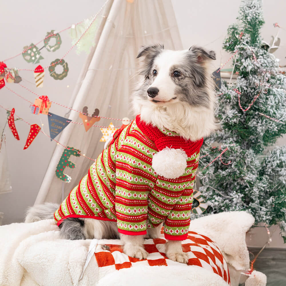 Pull pour chien en tricot motif Père Noël et renne de Noël festif