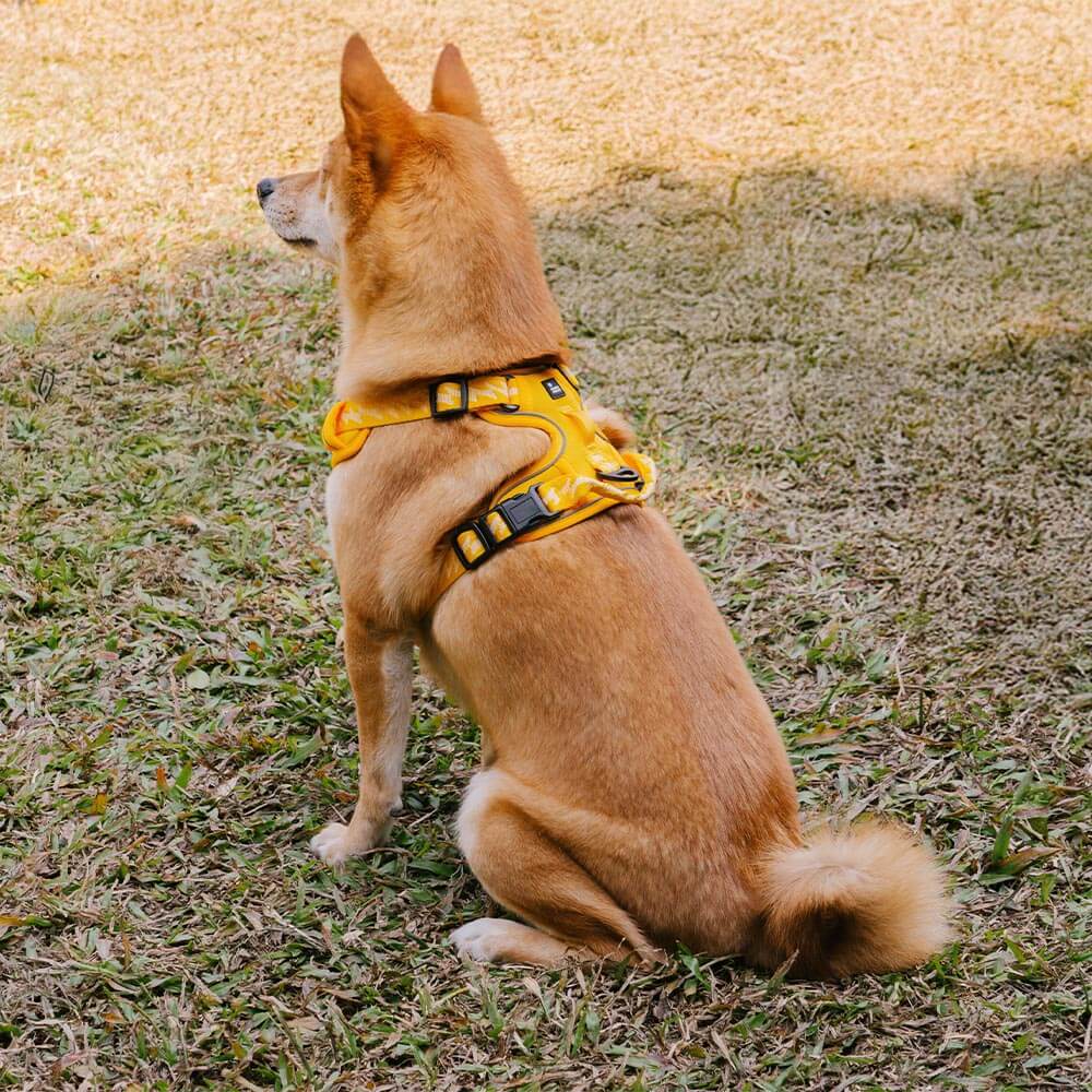 FUNNYFUZZY Reflective Adjustable Outdoor Dog Harness - Flexi Walker