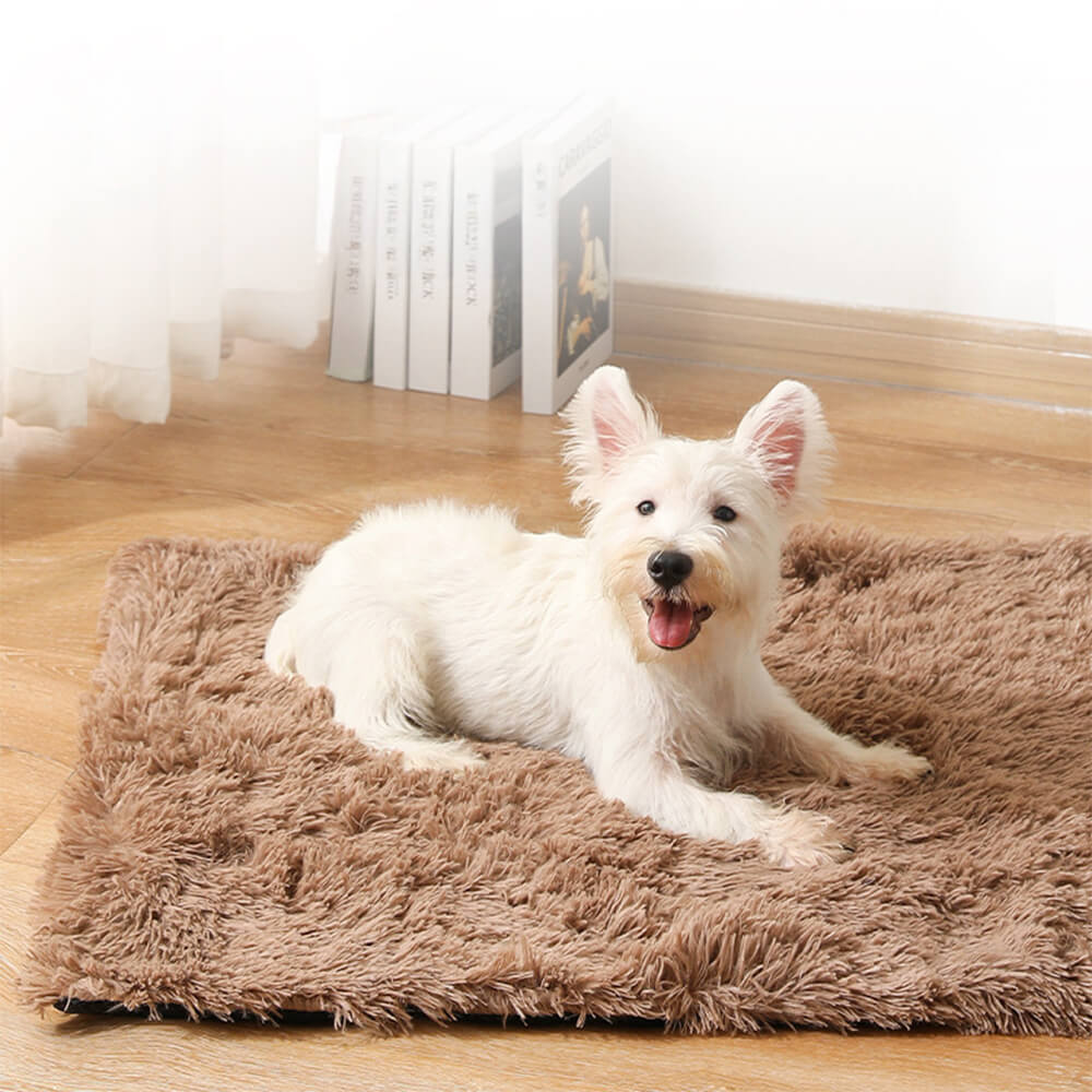 Tapis de tapis moelleux antidérapant en peluche douce pour chien et chat