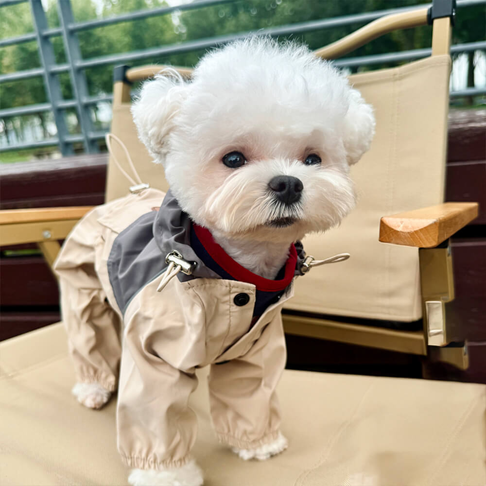 Veste à capuche pour chien, élégante, imperméable, coupe-vent, réglable, pour l'extérieur