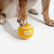 Juguete de perro de tenis Ball - Squeaky & Bounce