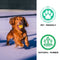 Juguete de perro de tenis Ball - Squeaky & Bounce