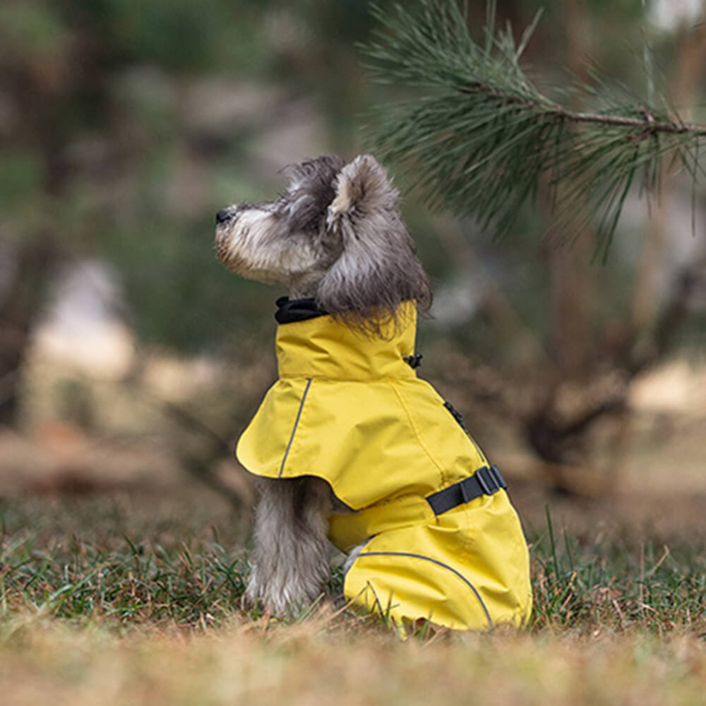 Poncho imperméable léger et réfléchissant à col roulé pour chien, imperméable et réglable