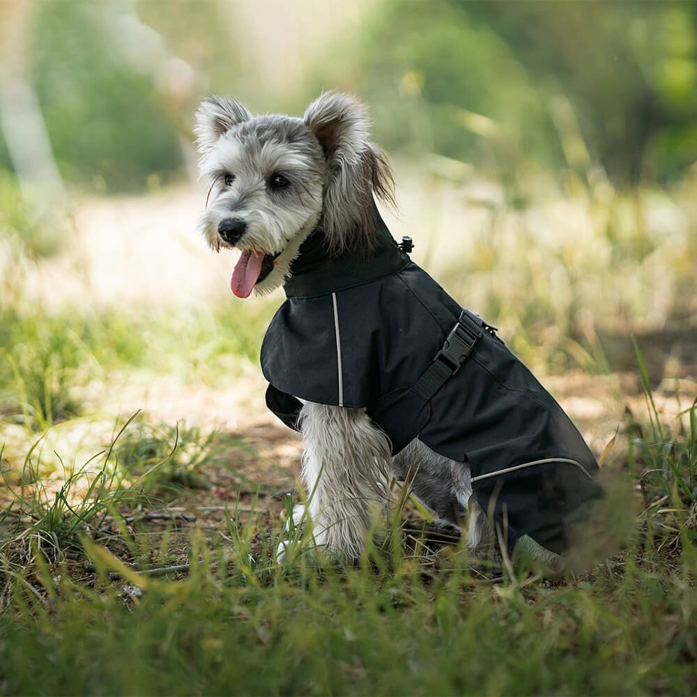 Poncho imperméable léger et réfléchissant à col roulé pour chien, imperméable et réglable