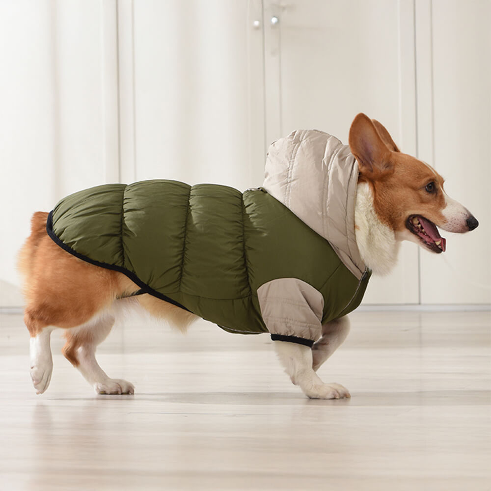 Veste à capuche pour chien, imperméable et coupe-vent, coupe chaude et ajustable