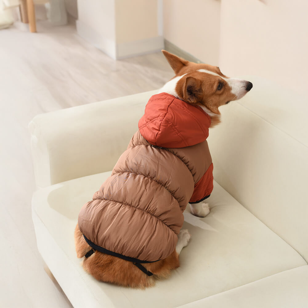 Veste à capuche pour chien, imperméable et coupe-vent, coupe chaude et ajustable