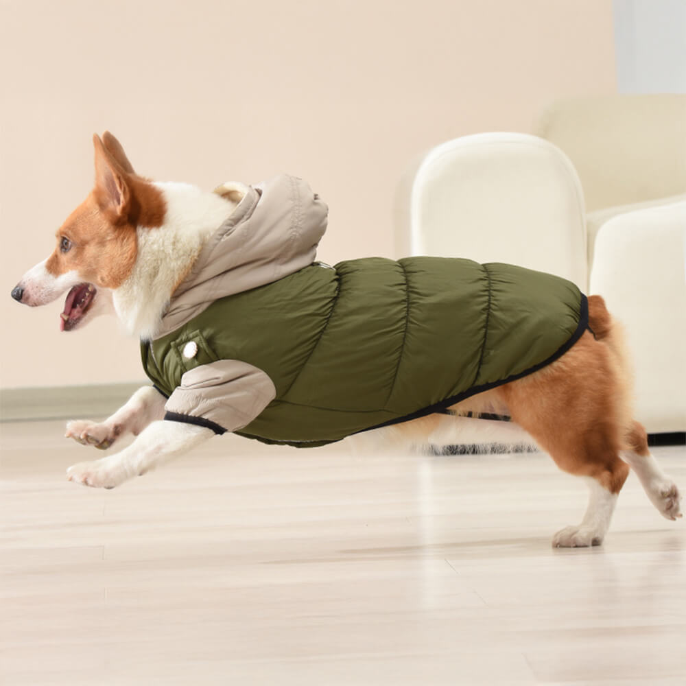 Veste à capuche pour chien, imperméable et coupe-vent, coupe chaude et ajustable